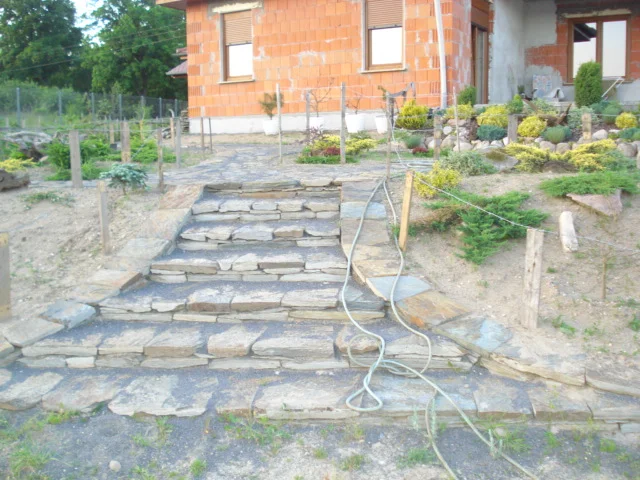 Zdjęcie z galerii