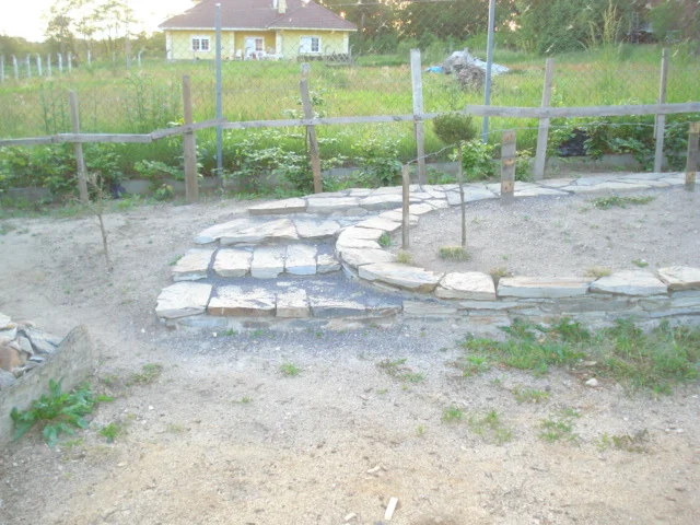 Zdjęcie z galerii