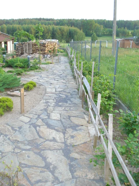 Zdjęcie z galerii