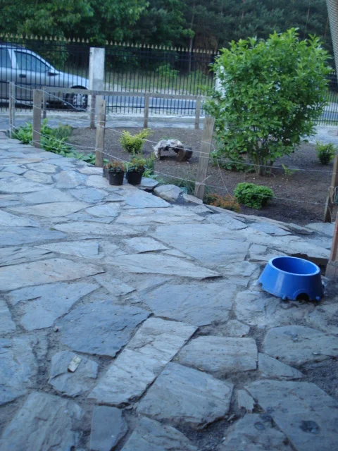 Zdjęcie z galerii